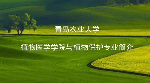 william威廉亚洲官方植物保护专业介绍