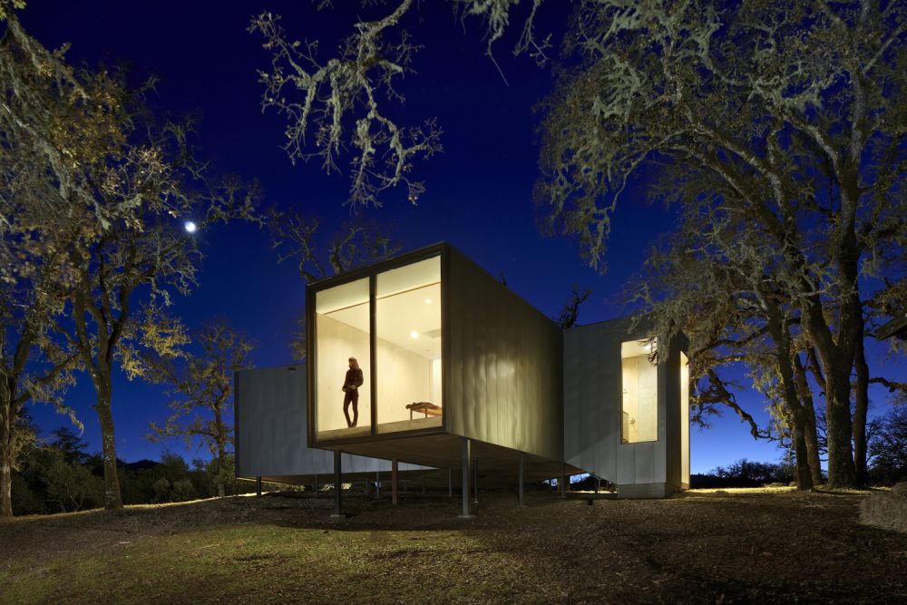 The house was built on stilts, this allowing the tree roots to remain undamaged