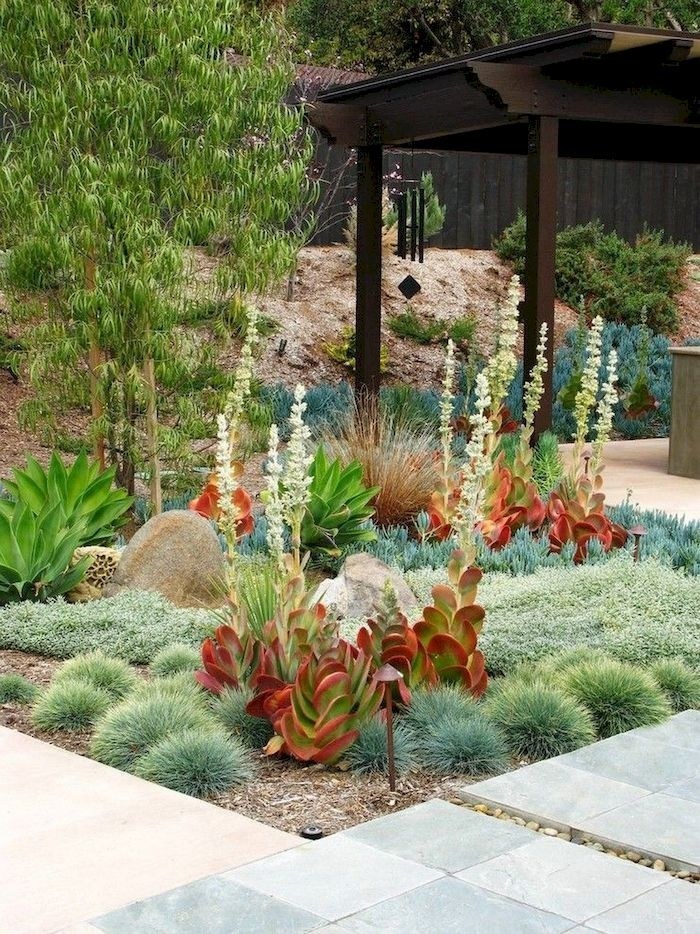 Tips for Planting a Succulent Garden