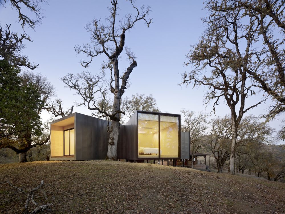You can see here how two of the volumes shelter the old oak tree between them, allowing it to grow undisturbed