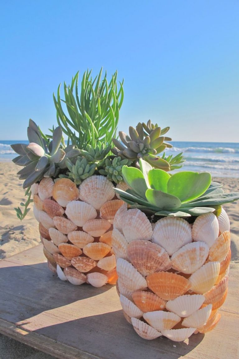 Put Your Beach Treasures On Display – Beautiful DIY Seashell Crafts
