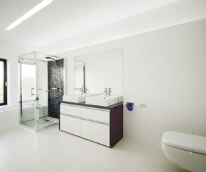 White bathroom with accent shower wall in black