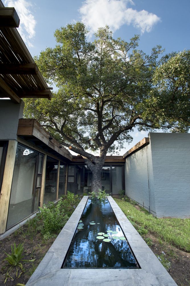 A small courtyard is formed around a tree which has been preserved on the site