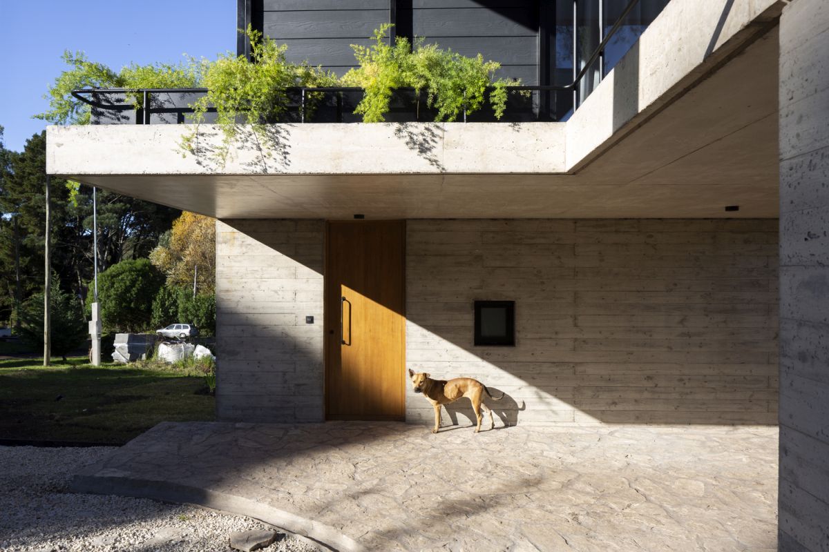 The main entrance is hidden on the side of the house and sheltered by the cantilevered terrace