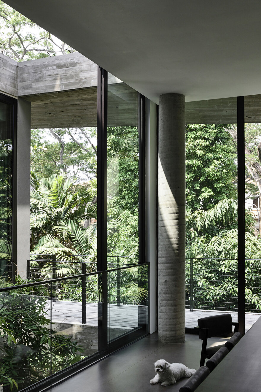 All the greenery and the trees at the back of the site form a really cool privacy screen for the house