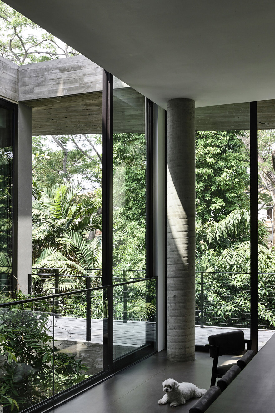 All the greenery and the trees at the back of the site form a really cool privacy screen for the house