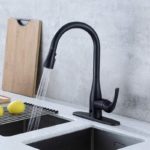 FLOW Motion Sensor Kitchen Faucet