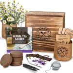 Indoor Herb Garden Seed Starter Kit