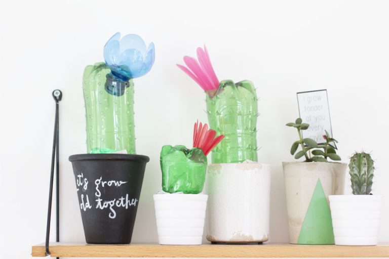 DIY Projects You Can Make With Humble Plastic Bottles