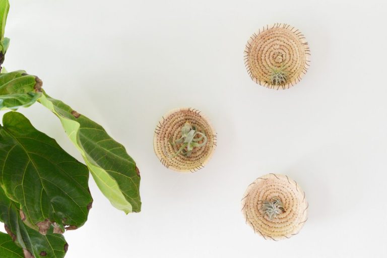 DIY Woven Baskets Into A Plant Wall Decor